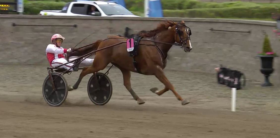 Joe_Zagari's tweet photo. #VästerboHighflyer 🇸🇪 @StallZet won Jämtlands Stora Pris 2017 - Group II - in #Östersundtravet with #PerLinderoth 1.11.5 on 2140 https://t.co/pE9J2LZFa8