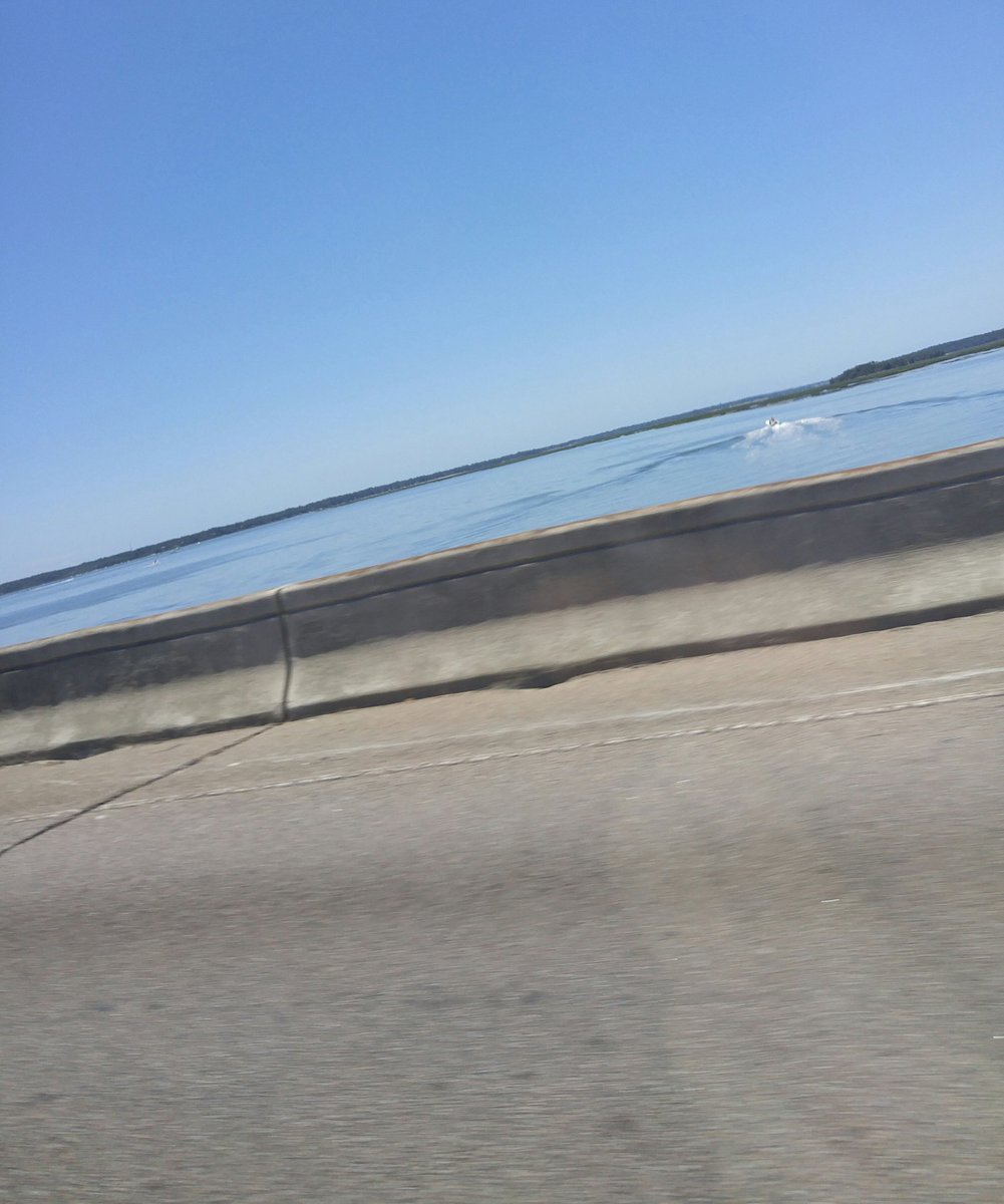 SchizoLizard's tweet image. //I'm gonna go swimming with a gator (~‾▿‾)~