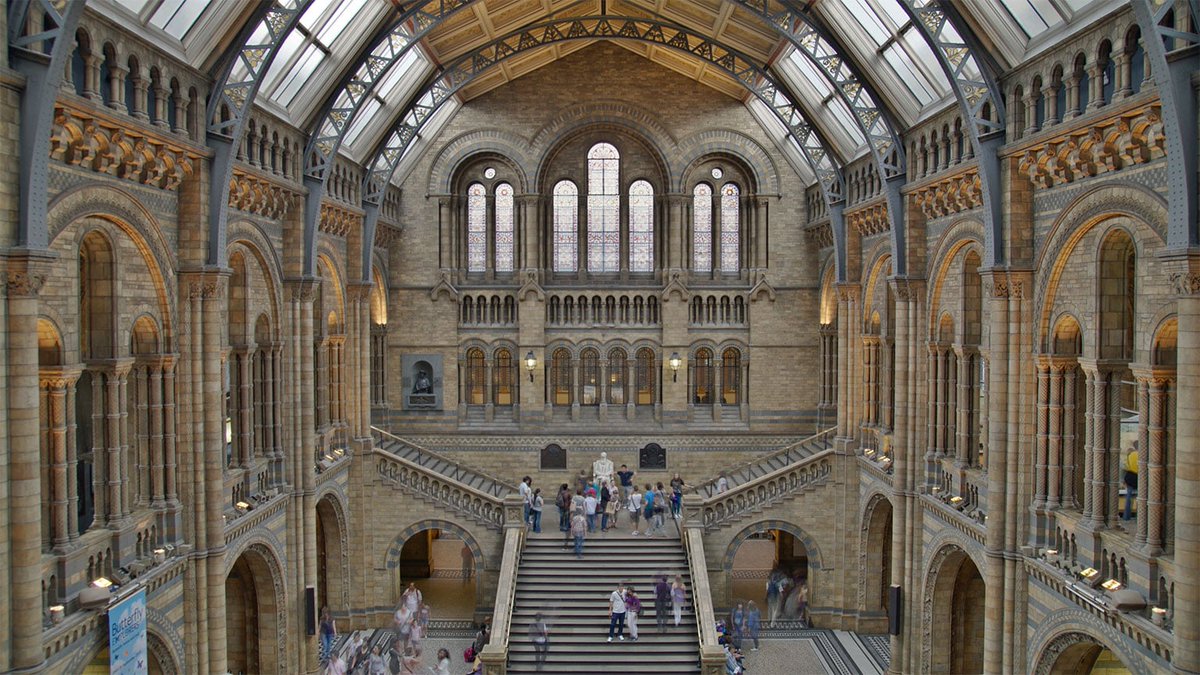 UCollegeLondon's tweet photo. Have you ever been to Natural History Museum? This amazing place is close to our London teaching venues. https://t.co/uSqD8aEpzF