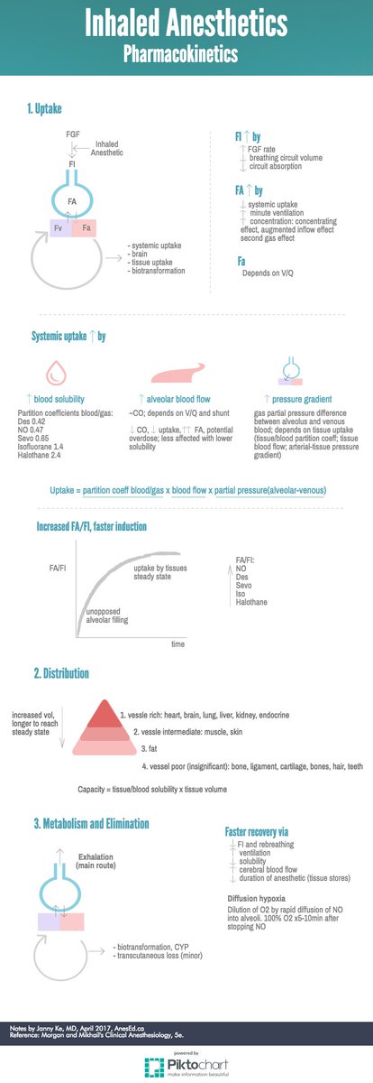 AnesEducation's tweet photo. Pharmacokinetics of inhaled anesthetics: https://t.co/Y6H6YkgrYa #infographic #MedEd #AnesEd https://t.co/1AcXrGE8Jh
