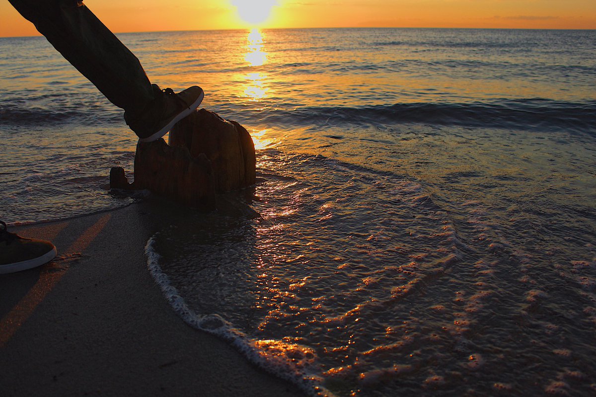 harley_mcgee's tweet photo. 😎 https://t.co/TFQSsW6HwB