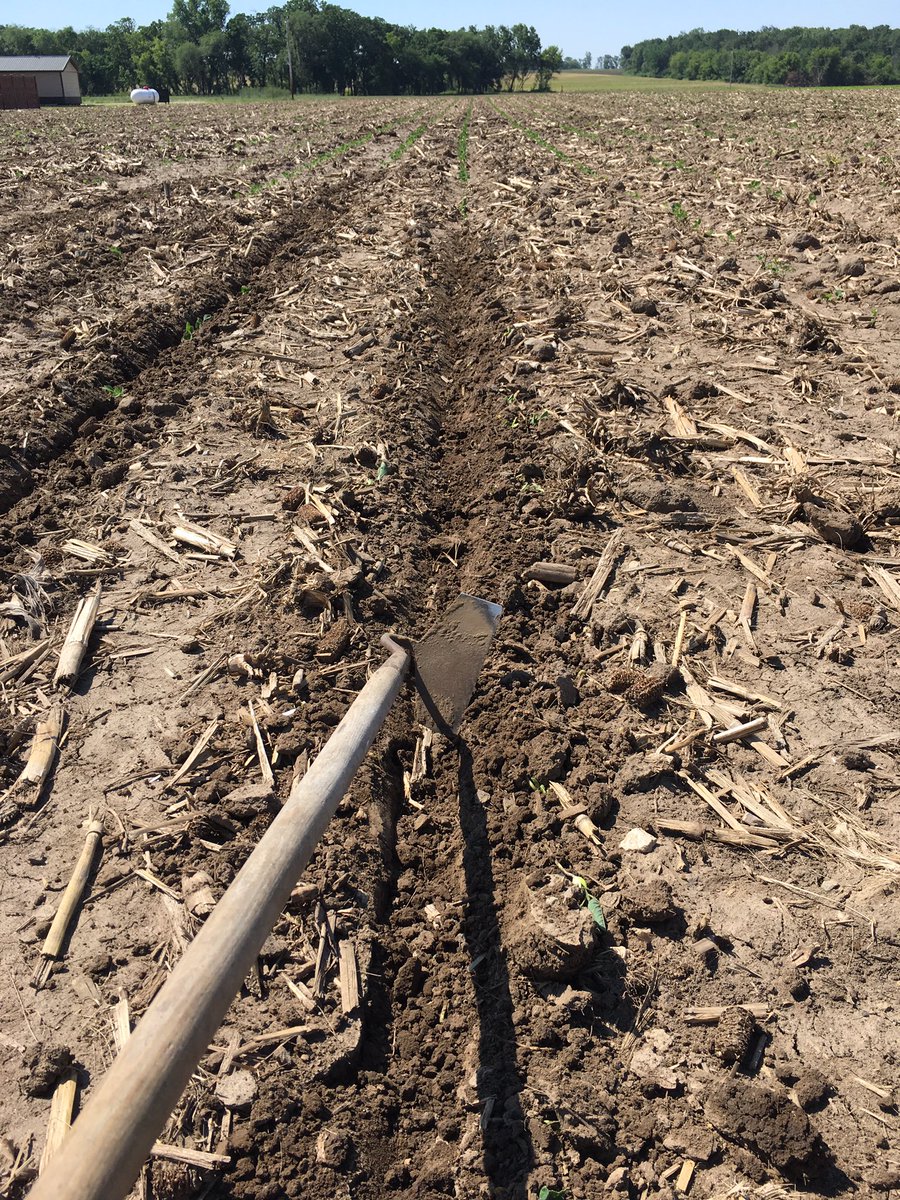 NEIAAgron's tweet photo. Whatever it takes to make the show plot just that... a show plot! #replant17 https://t.co/N2f2jUmt6f