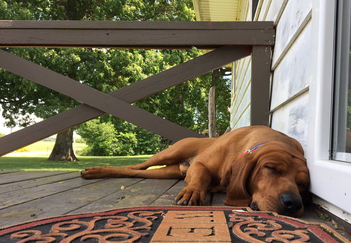 JoeStammBand's tweet photo. We're resting up for tonight's full band show at @CrusensWar , 9-1am... #JSBlive #SamSays #porchlife https://t.co/ZyuDNt86Dq
