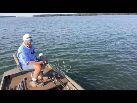 Fishing HQ tweet media