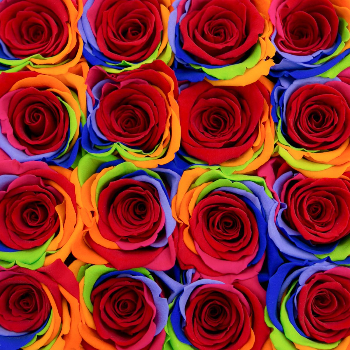 rheventgroup's tweet photo. #RHEG is celebrating #NationalRoseDay with client Sony Pictures at #LAPride2017
#roses #flowers #eventprofs #sonypictures https://t.co/IBCh3GBmlH