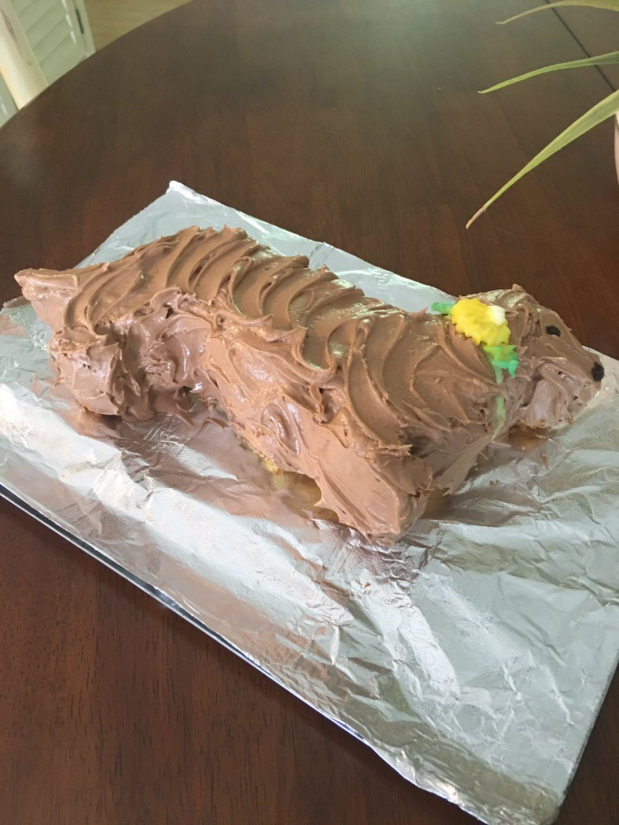 DKCWV's tweet photo. Mikie's Birthday Cake 🎉🎂🎉🐶🐾 Happy 4th Birthday!!
#doxiesrock
#lovemydoxie
#spoileddoxie https://t.co/JOuiWi9YqL