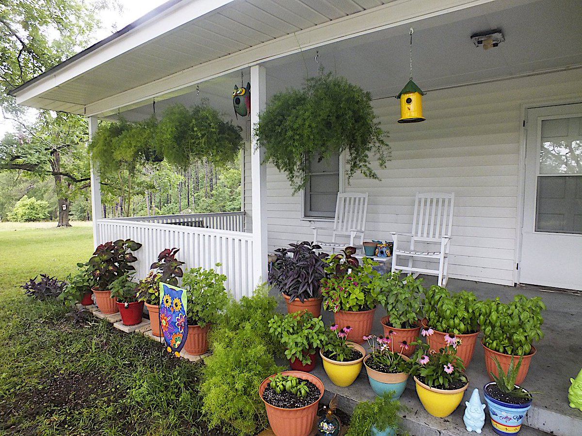 Lightkeepers_'s tweet photo. We want to share some of our #plants.
#Garden on the #Porch!
#Coleus #Basil #Spearmint #Peppermint
#PersianShield #AsparagusFerns https://t.co/BK42nKAEKl