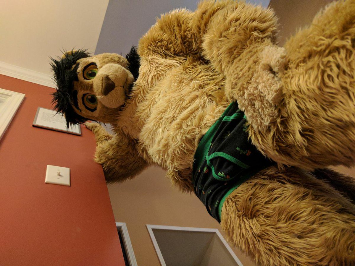 kofukitty's tweet photo. @Tyrinlion sexy underwear with not sexy lion incoming ! #failedatbeingsexy #teachmehowtosexyplez #thisdoesntwork #donthavebedroomeyes https://t.co/1bItqAggtV