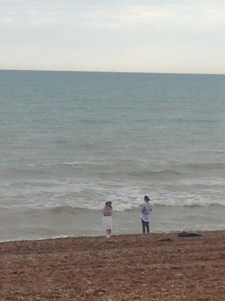 Tim Stephens tweet media