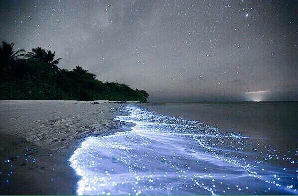 ﴿فاذكرونِىٓ أذكُركم﴾
 .
قِف عندها، ولا تعجل،
فلو استقرَّ يقينها في قلبك ما جفَّت شفتاك من ذكر الله ..
.
خالد بن ربعي