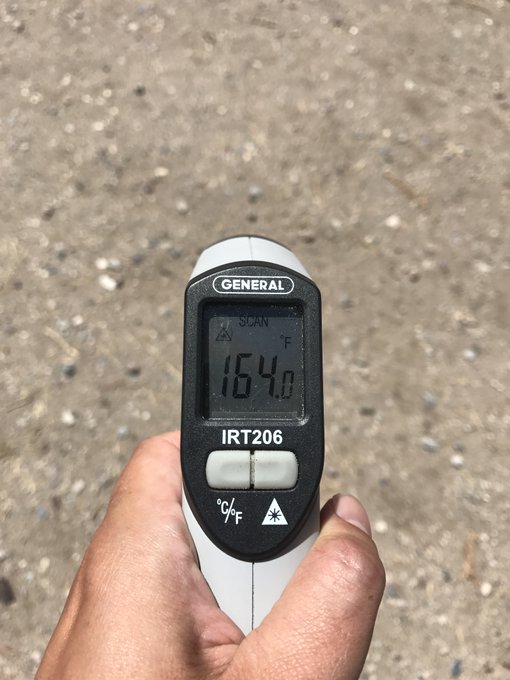 Hand thermometer pointing at the ground reads 164 degrees Fahrenheit