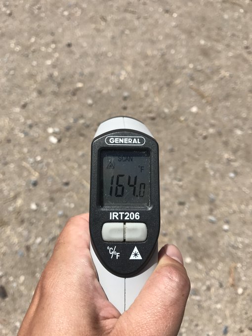 Hand thermometer pointing at the ground reads 164 degrees Fahrenheit Hand thermometer pointing at the ground reads 164 degrees Fahrenheit