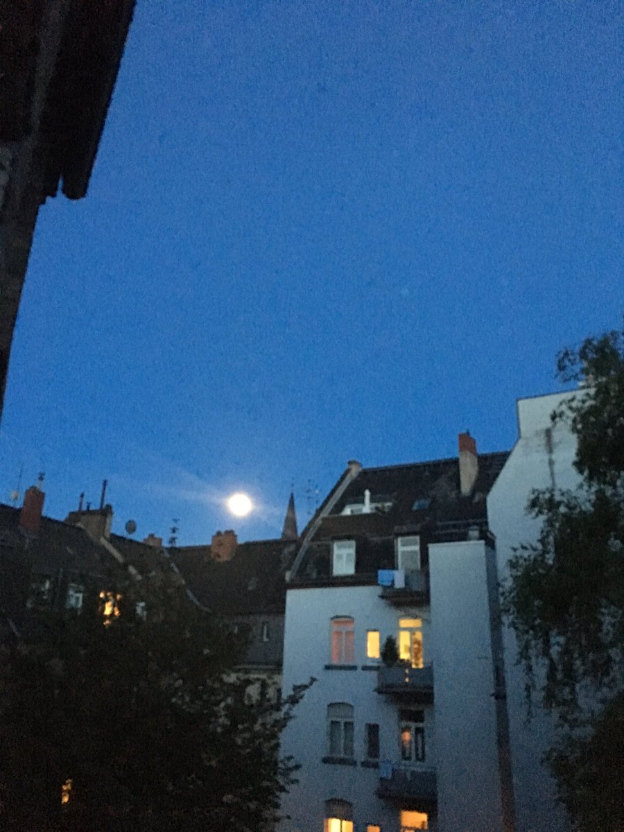 seranegrace's tweet photo. #freundedernacht #freundedeswahnsinns #esistwiedersoweit #vollmondwahnsinn #langistsher @anjoschka178 @xschildi https://t.co/324SzWbjlq