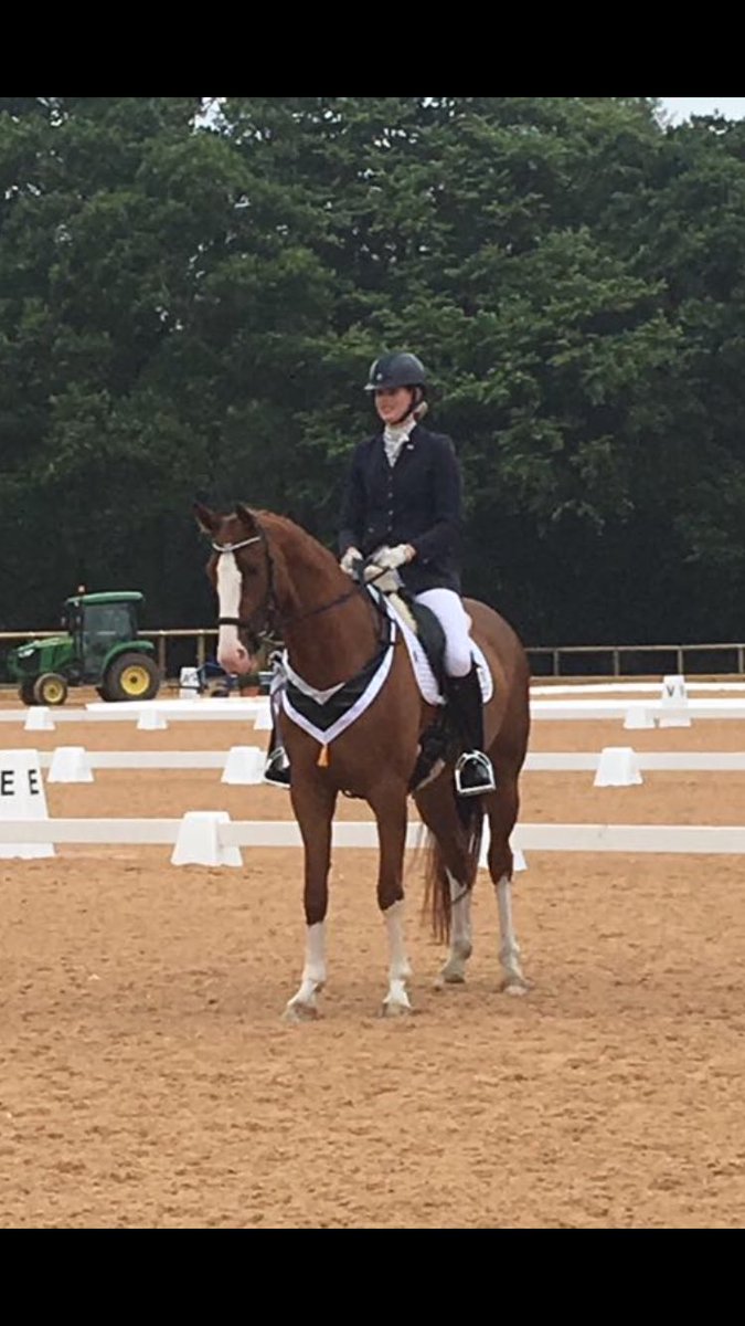 Tor Fenwick Dressage tweet media