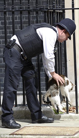 huwsdavis's tweet photo. @bettyofyork Whoa!!
Not sure @Number10cat agrees with this
#larryin
#catsatNumber10 https://t.co/8xzdQwmLNl