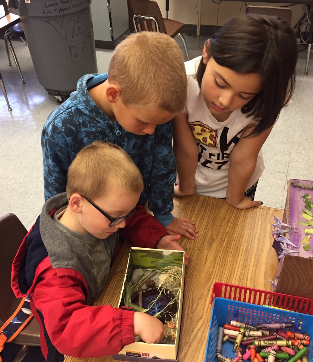 MrSagalasClass's tweet photo. Sharing our animal dioramas today! Part 2 @OakbrookAcadArt #OakbrookVAPA https://t.co/RN0eKobuw5