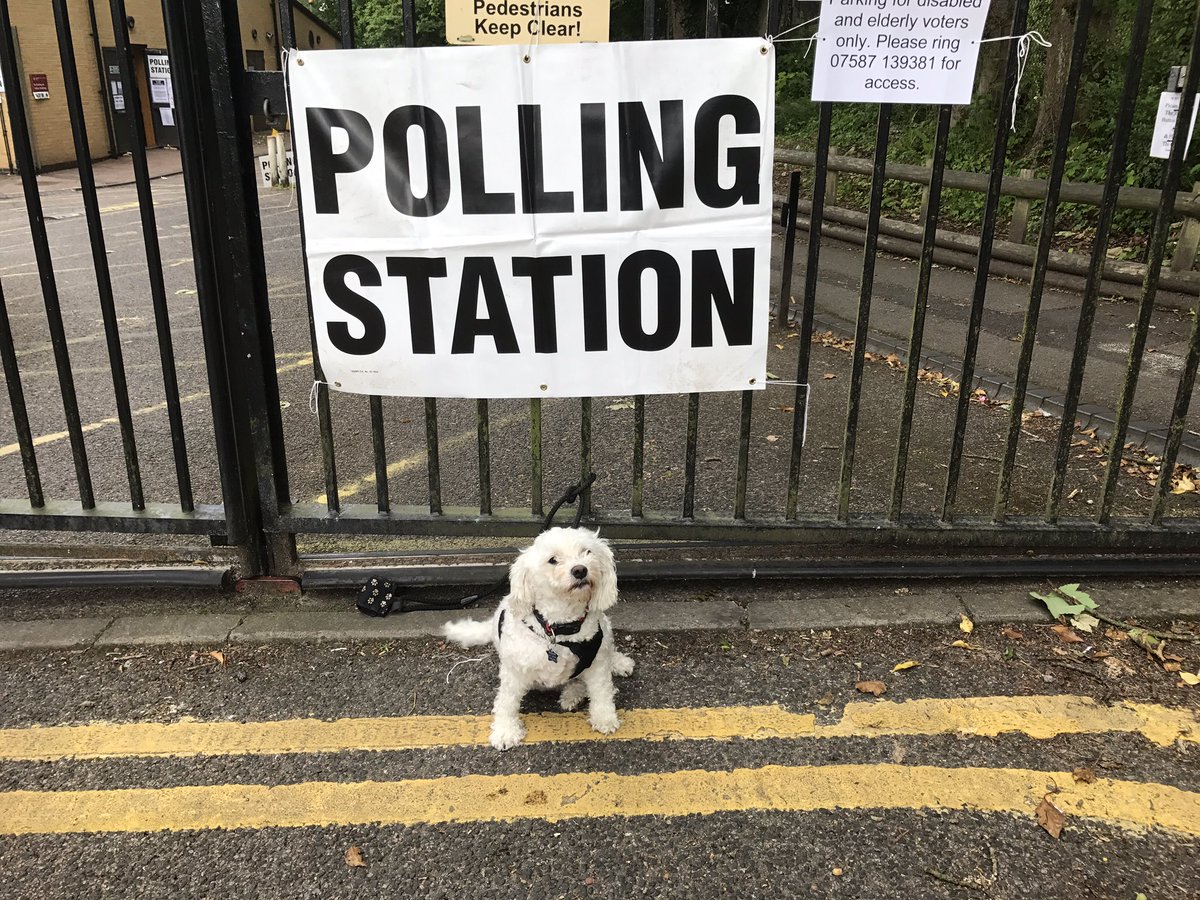Swainymum's tweet photo. Minty wasn't allowed in to cast his vote, but at least he made an effort to turn out #dogsatpollingstations https://t.co/UAFcUSIrSA
