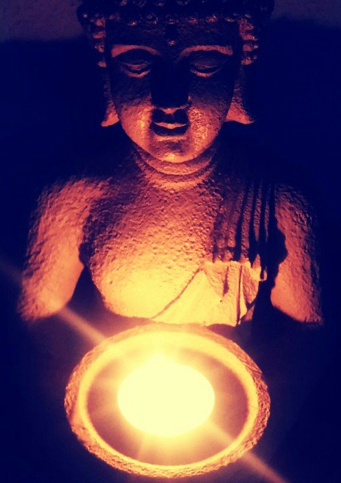 SeedsofLight tweet media