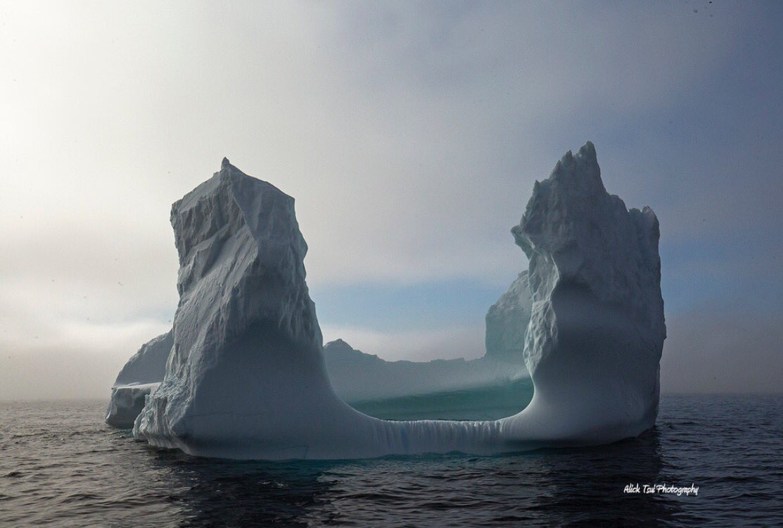 positively4ever's tweet photo. Amazing #berg fr @IcebergQuest #MotionBay #MaddoxCove @IcebergTweets @DestinationCAN #Canada150 fr #wow #iceCastle #@NLtweets #BUCKETLIST https://t.co/7XCuihlpWT