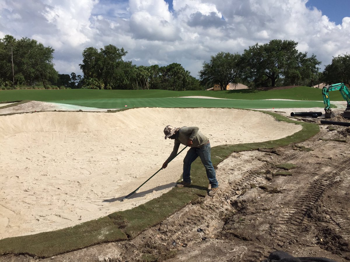 MirasolGCM's tweet photo. On 18 green side bunkers, 9 inches of rainfall in the last 6 days, and all newly built Fazio bunkers "Zero washouts" #SFGR and #PristineGolf https://t.co/CfwuJ9uUJ8