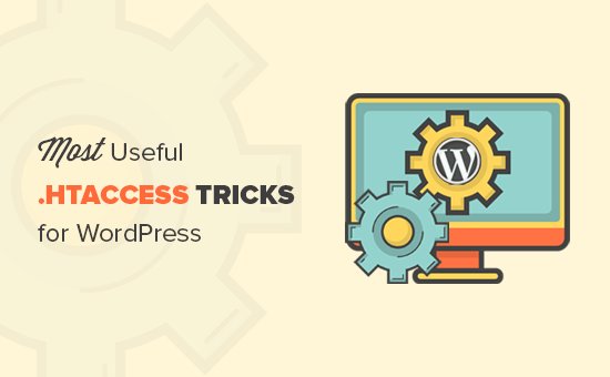 4webinc's tweet photo. What is .htaccess file and how to edit it https://t.co/YA5vBOQE4z #WordPress https://t.co/yJ4MMYRVCN