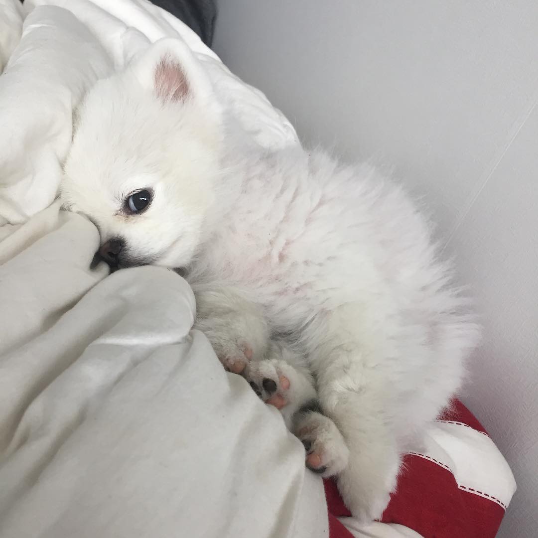 <a href="/Perfect_Temple/">Luna Temple</a>