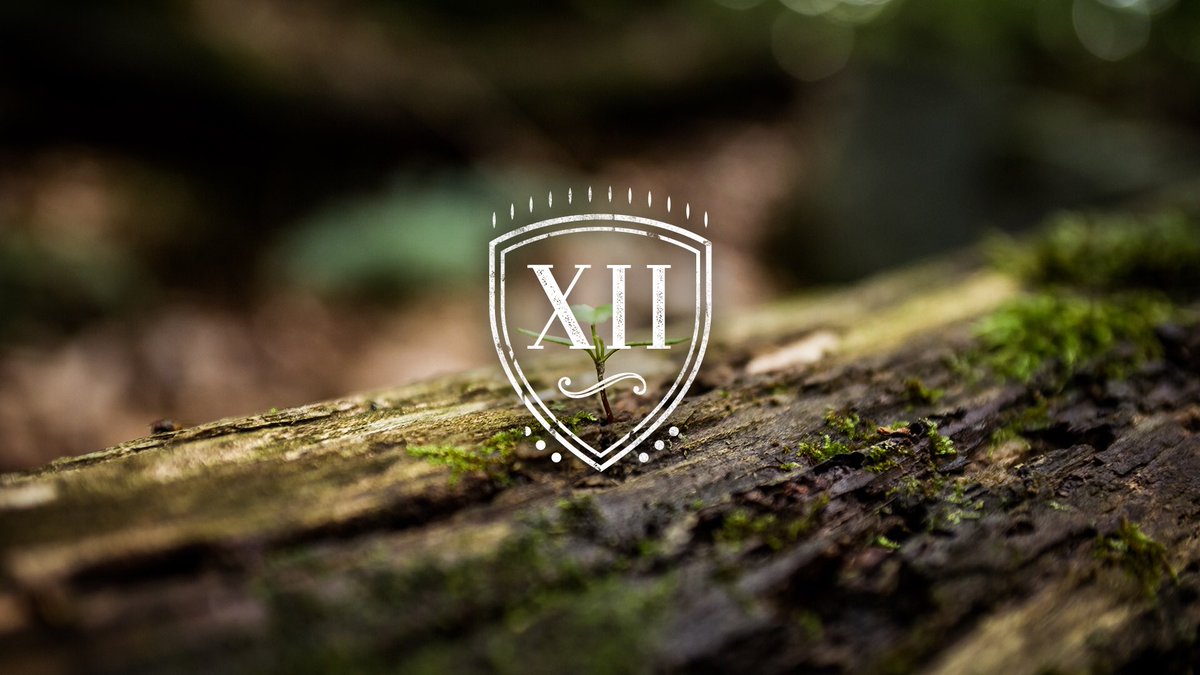 12thGate's tweet image. Are you a singer songwriter wanting to get your music placed on tv and film?? Message us and we can help you.