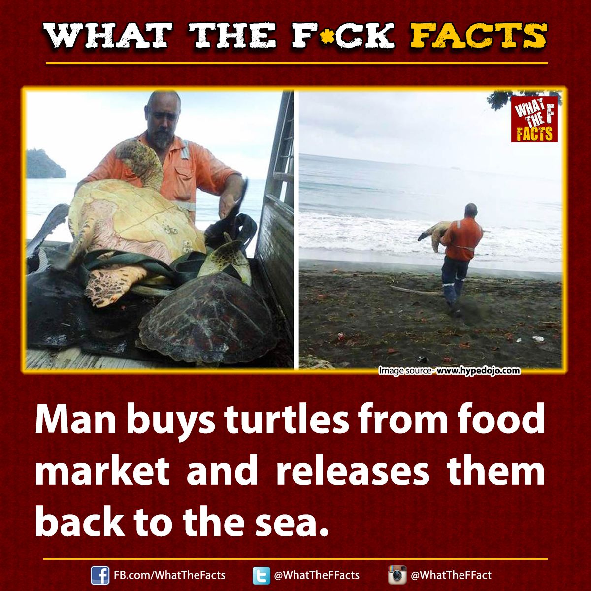 WhatTheFFacts's tweet photo. https://t.co/gdINot15hK