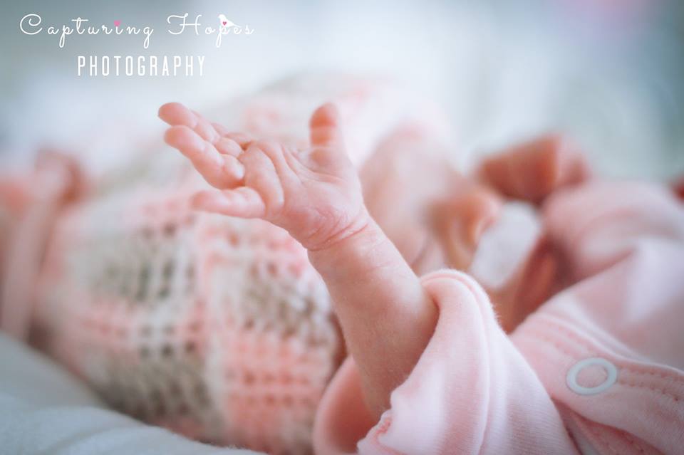 CapturingHopesPhoto tweet media