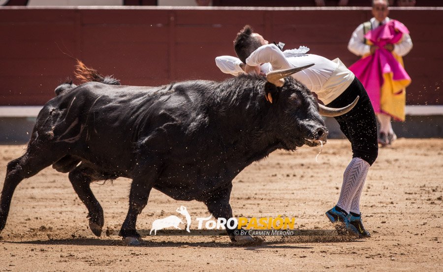 A tan sólo un día de la gran final de recortadores de élite en <a href="/LasVentas/">Plaza de Las Ventas</a> seguimos recordando las eliminatorias.
📆 Domingo 11 -12h
¡Emoción!