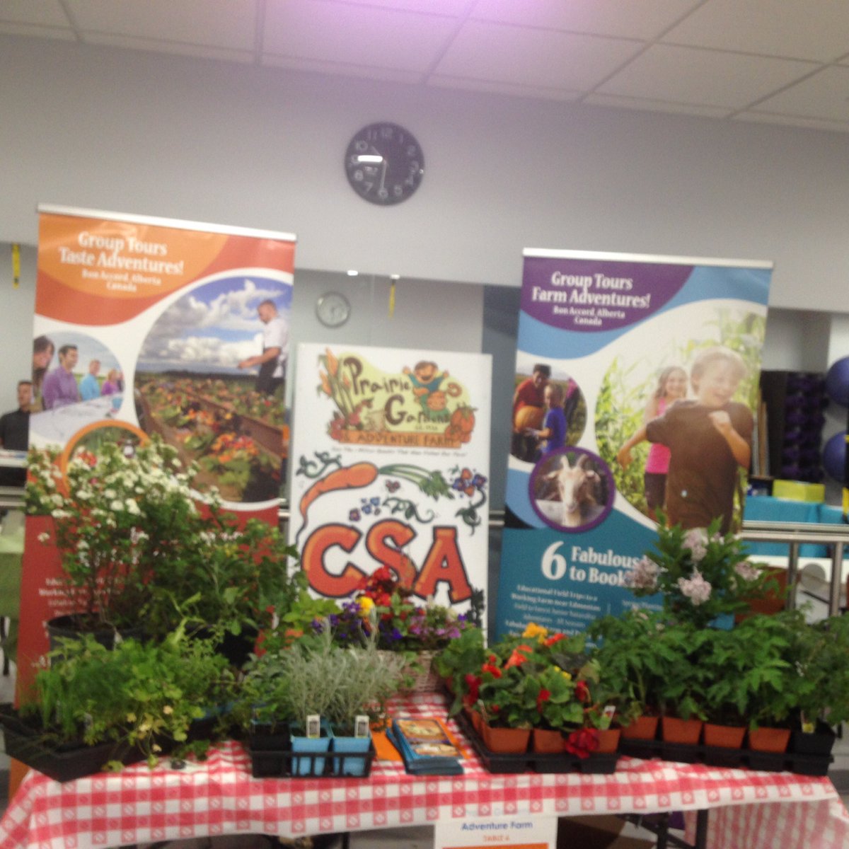 RachelVeinott's tweet photo. Come visit @MyPrairieGarden at the Alberta Blue Cross Health &amp; Wellness fair and learn about the Community Assisted Agriculture program! https://t.co/buVtr5kxPv