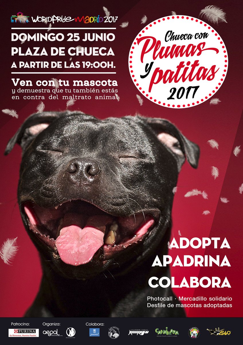OKCanaimara's tweet photo. Anímate a venir a este evento solidario con tu #mascota ! #ventecontuperro #chueca #worldpridemadrid2017 https://t.co/W2DiAqGe6y
