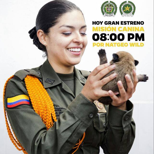 HuilaPolicia's tweet photo. Hago una invitación a todos para que nos acompañen hoy a las 8 pm, por @NatGeoLat @natgeowild y observen el primer capitulo de #misioncanina https://t.co/L02ZuaLj4k