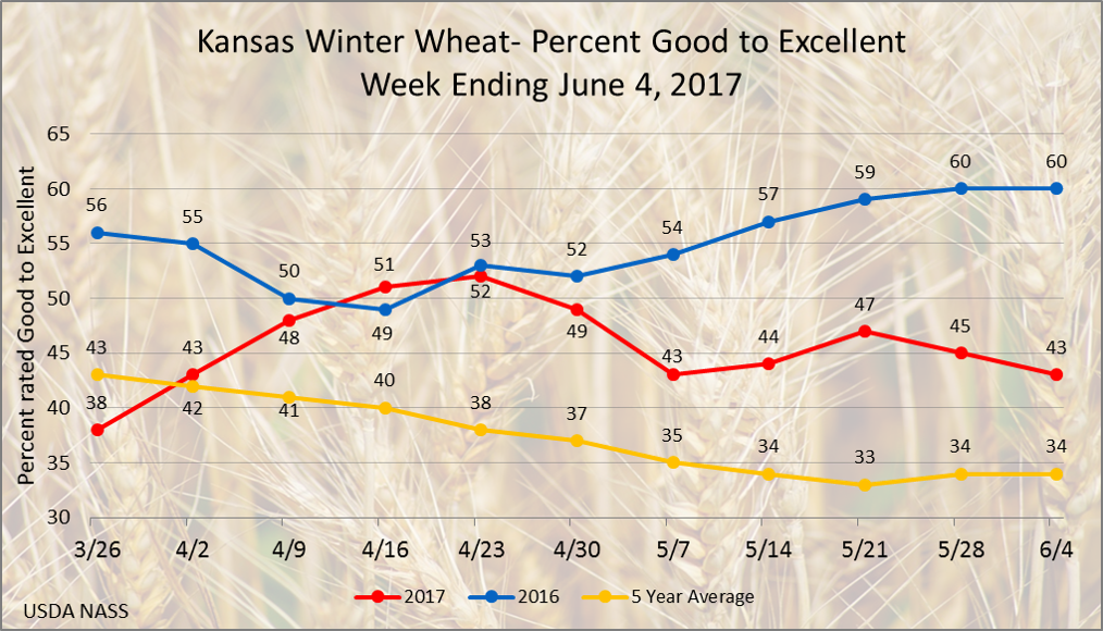 usda_nass's tweet photo. 43% of Kansas winter wheat is in good to excellent condition, below 60% last year but above the 5 year average of 34% #AgStats https://t.co/JATvb8QRTi