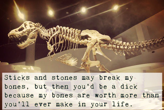 iamnicedino's tweet photo. Sticks and stones may break my bones, but then you’d be a dick because my bones are worth more than you’ll ever make in your life.
#nicedino https://t.co/oiVh5N6aRW