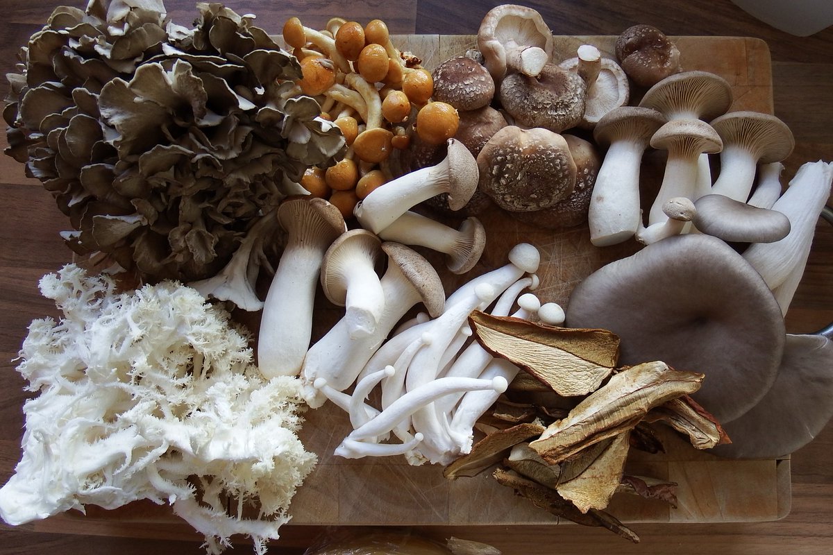Market Leftovers for mushroom ravioli HenoftheWoods Nameko WhiteCoral  Eryngii Shiitake WhiteBeech GreyOyster and some 2015 DriedCeps