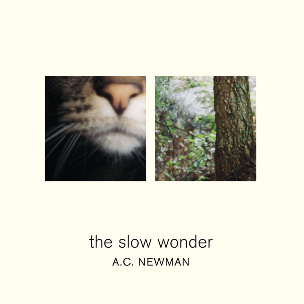 TheNewPornos's tweet photo. .@ACNewman's 'The Slow Wonder' was released thirteen years ago. https://t.co/m3M441ODgL