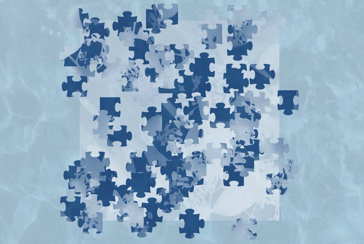 Solve the puzzle on hard and you could win a signed Eucalyptus jigsaw. Try it out at aveytare.com