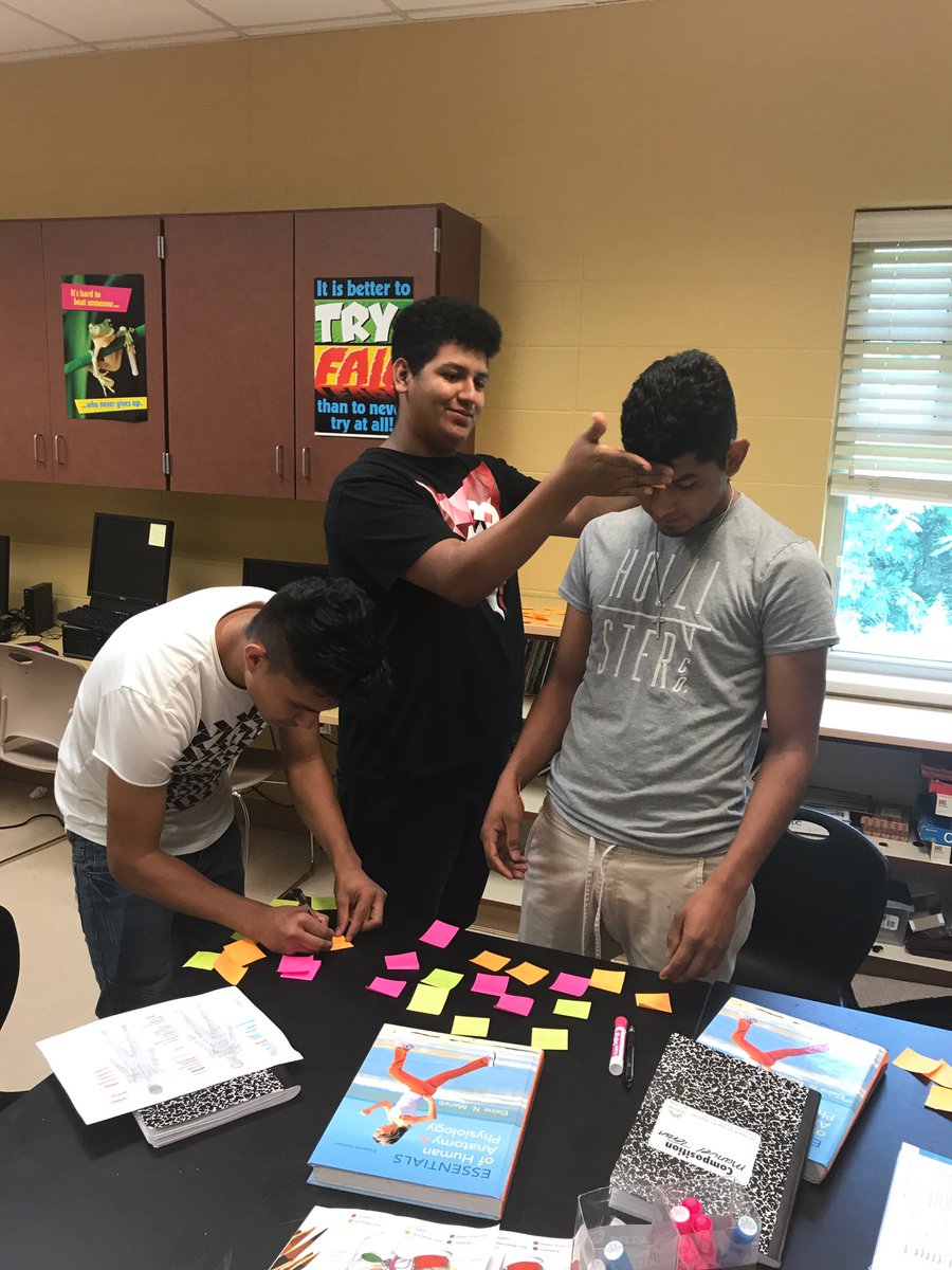 LariValtierra's tweet photo. Post-it Note Skeletons - Summer learning is fun!@JEFCOED #jefcoed #jefcoedESL https://t.co/z4aA5e6JHe