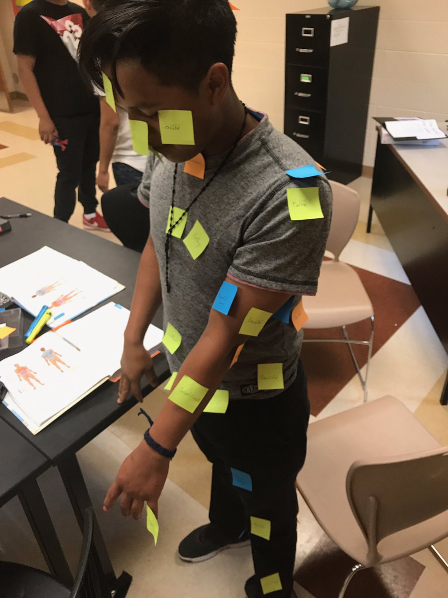 LariValtierra's tweet photo. Post-it Note Skeletons - Summer learning is fun!@JEFCOED #jefcoed #jefcoedESL https://t.co/z4aA5e6JHe