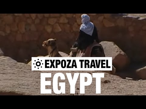TravelingNet's tweet image. #travel Egypt Vacation Travel Video Guide • Great Destinations - travelingcentral.net/egypt-vacation… #RT #Retweet