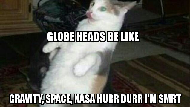 flatearth_lemur's tweet photo. And they call us parrots... 
#FlatEarth  #StillFlat #NASALies https://t.co/y6Au8Bg8DC