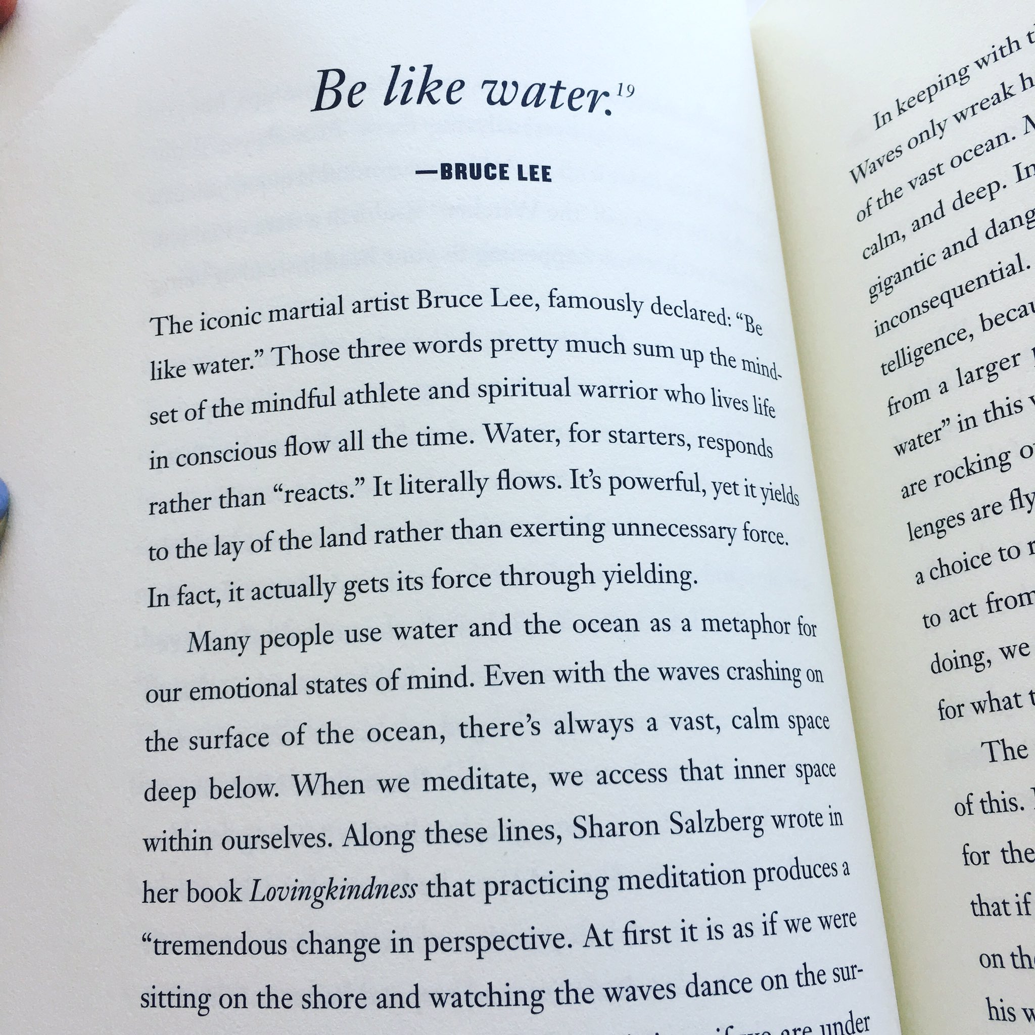 Meghan Duggan Be Like Water Love This Simple Quote And Passage From Mindful Athlete Mindfulness T Co Lisyhdabln Twitter