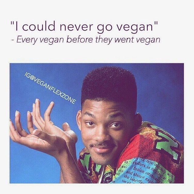 _VeganRepublic's tweet photo. They all say that. #govegan #vegan https://t.co/uPZdgc6vMy