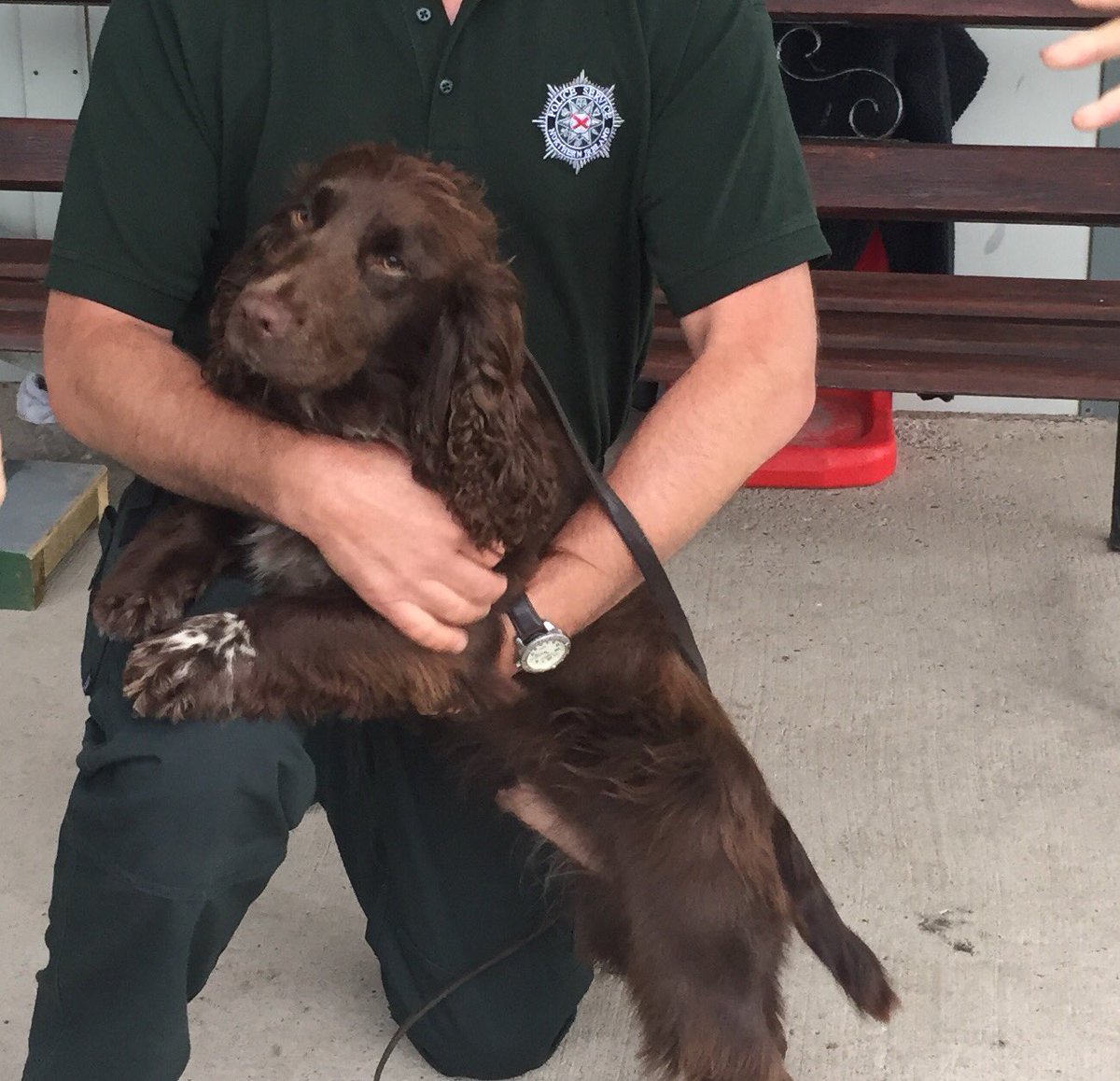 NIPolicingBoard's tweet photo. @NIPolicingBoard members meet PDs Max,Vinny& Kato @PoliceServiceNI Dog Training Unit. So smart & a key part of the PSNI Team #PSNIdogs https://t.co/zjtR9tLZQU