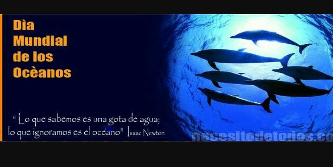 LeosDelDorado's tweet photo. Los océanos cubren alrededor de dos tercios de la superficie de la tierra y son el verdadero pilar de vida. #DiaMundialdelosOcéanos https://t.co/zV8eNfmNjN