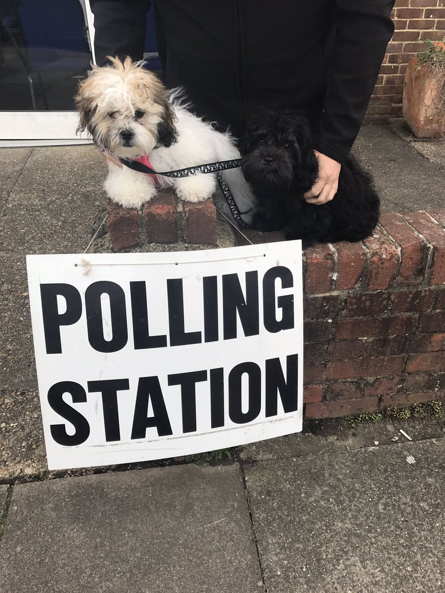 summer2222's tweet photo. Their first General Election. Voting for more walks and extra treats for all. #ForTheMany #dogsinpollingstations https://t.co/KRnMVc3Nnz
