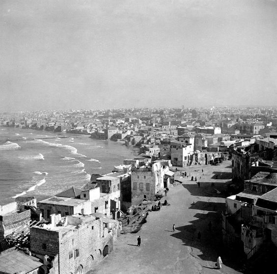 Gertcha_Cowson's tweet photo. "A Land Without A People." #Jaffa #Yafa #Palestine 1900's. No #JudeoNazis. No #Zioturds No #FakeHebrews No #ArmyCheckpoints. No #Bloodshed https://t.co/RwxENdRpQh