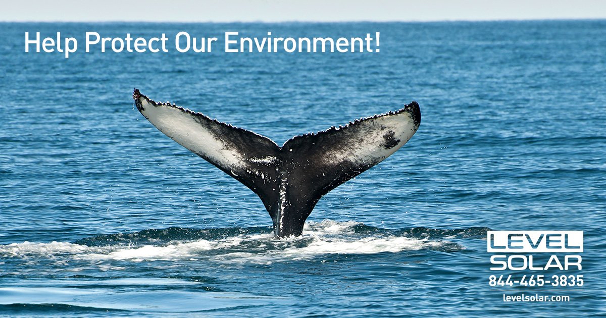 LevelSolar's tweet image. Today is World Oceans Day!
@WorldOceansDay #climate #sustainability #ourearth #awesomephotos
levsol.co/M3kR30cr4Tz