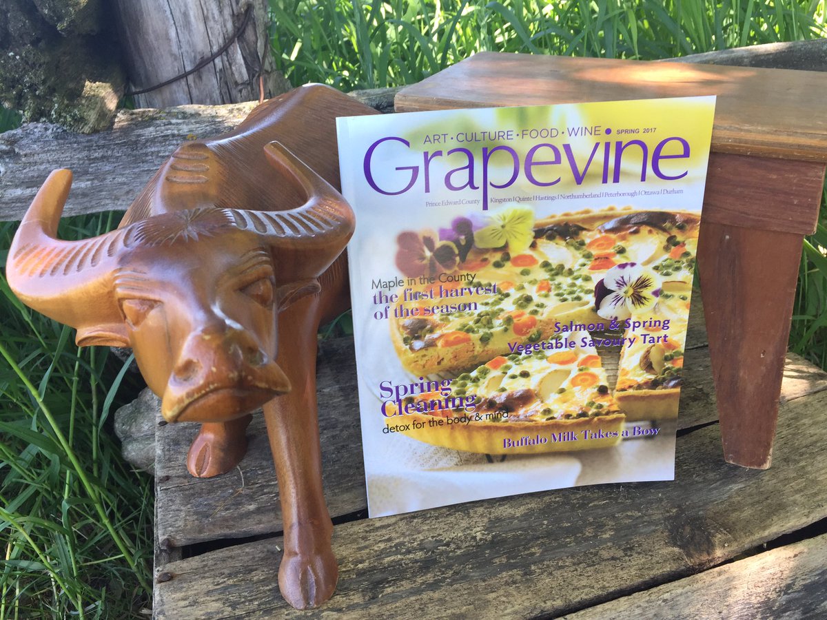 OntWaterBuffalo's tweet photo. Pick up your free copy of Grapevine Magazine Spring 2017 where you can read an article all about our cheese! @Grape_Mag #OWBC #BuffStuff 🐃 https://t.co/eCA3JrPPiS